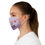 Thumbnail: Fabric Face Mask