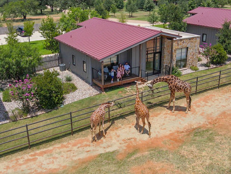 Longneck Manor’s AZA Accreditation sets the Gold Standard in Texas Animal Encounters