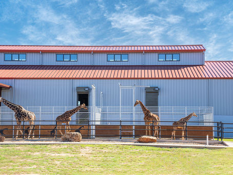 Sustainable Tourism in the Texas Hill Country