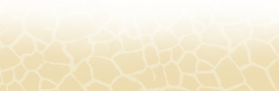 Untitled (1265 x 414 px) (4).png