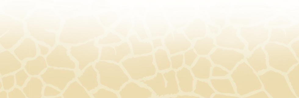 Untitled (1265 x 414 px) (4).png