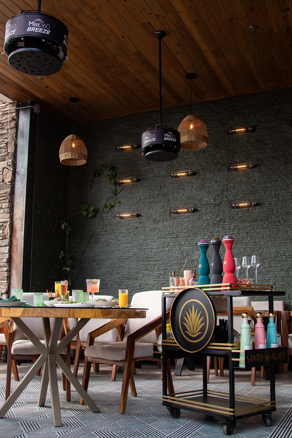 SantoAgave_202603_-138.jpg