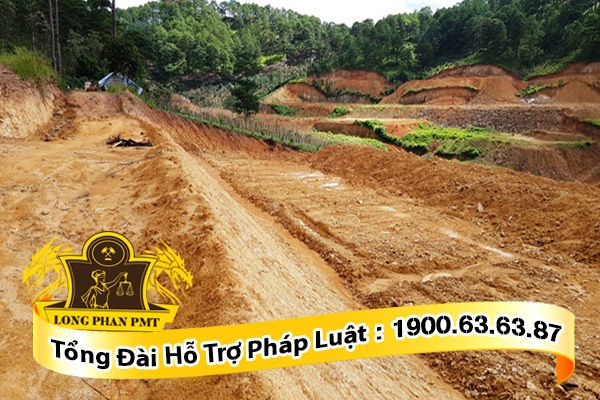 Các yếu tố cần xem xét khi giải quyết tranh chấp
