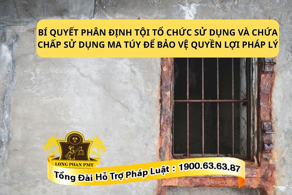 Phân biệt hành vi tổ chức và chứa chấp sử dụng trái phép chất ma túy