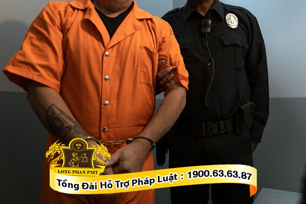 Đội ngũ luật sư chuyên môn sẽ hỗ trợ khách hàng bào chữa tội vận chuyển trái phép chất ma túy.