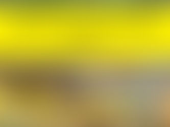 TRANH CHẤP THỪA KẾ TIỀN BỒI THƯỜNG ĐẤT ĐƯỢC GIẢI QUYẾT RA SAO?