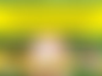 XỬ LÝ TRANH CHẤP THỪA KẾ ĐỐI VỚI NHÀ Ở THUỘC SỞ HỮU NHÀ NƯỚC ĐANG CHO THUÊ