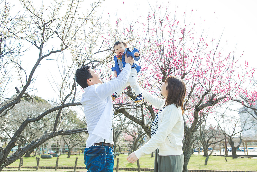 滋賀県長浜市の豊公園で梅と琵琶湖を背景にフリーカメラマンが家族写真撮影をしました