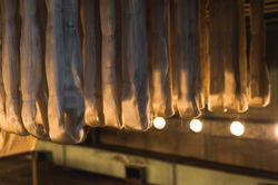 滋賀県でウェブサイト用、プロフィール、コマーシャルさコマーシャル撮影