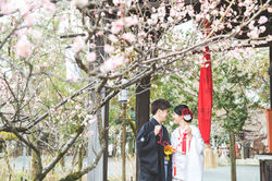 滋賀県長浜市の長浜八幡宮で結婚式の風景をフリーカメラマンが撮影しました