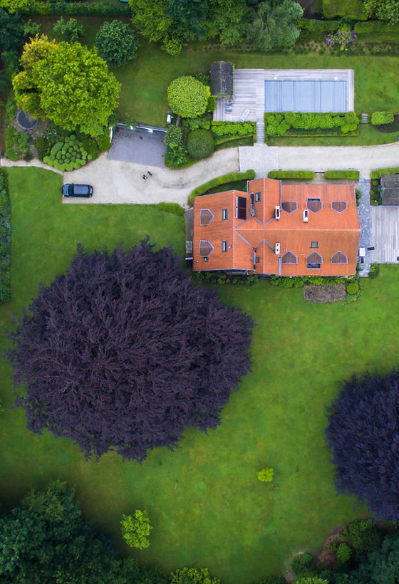 Aerial Photo of a Real Estate