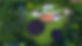Aerial Photo of a Real Estate