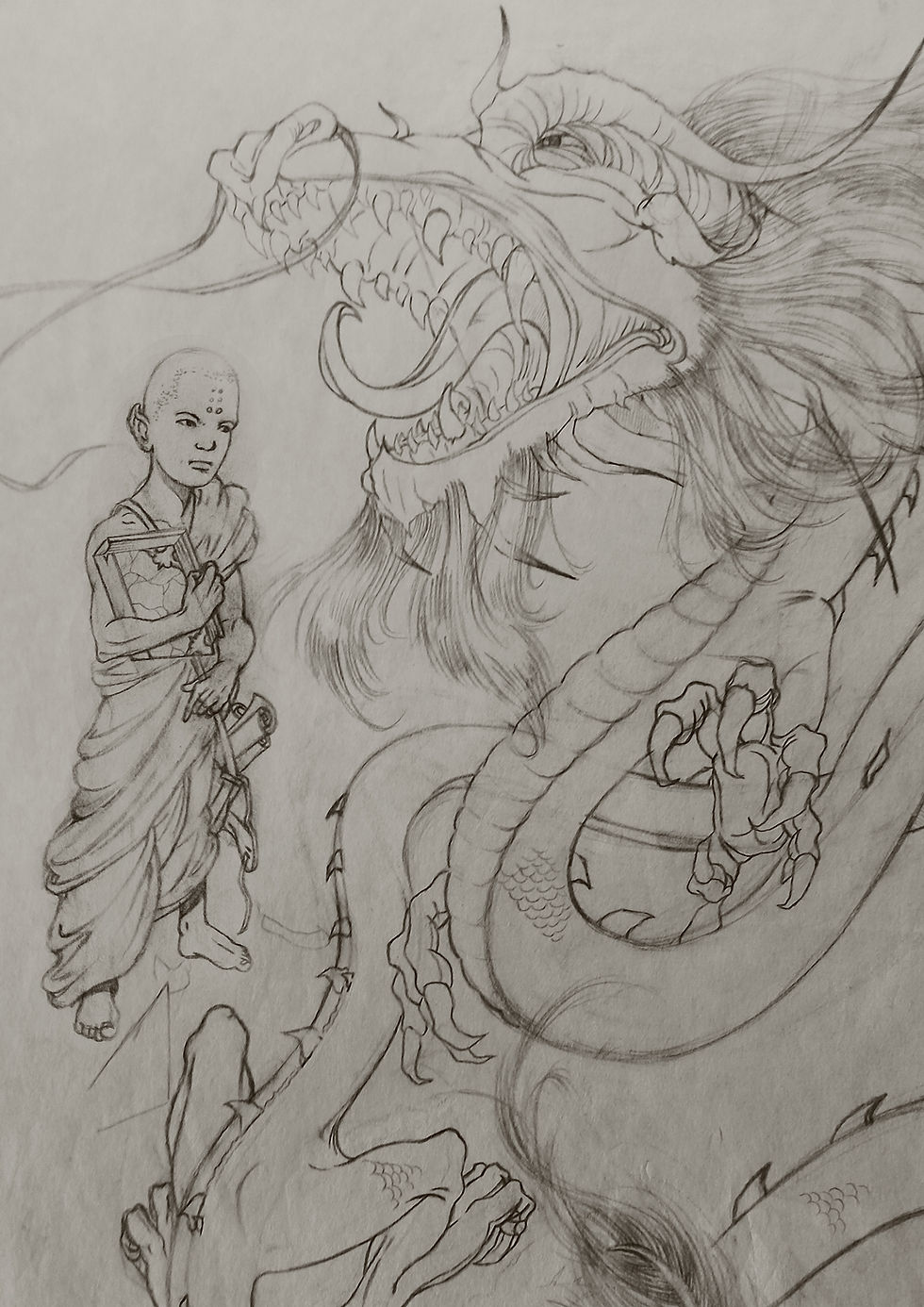 Artistica Infusion - Croquis