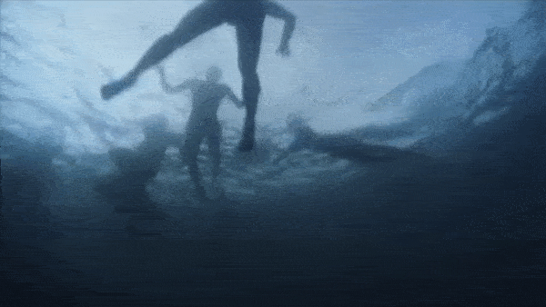 SHARK