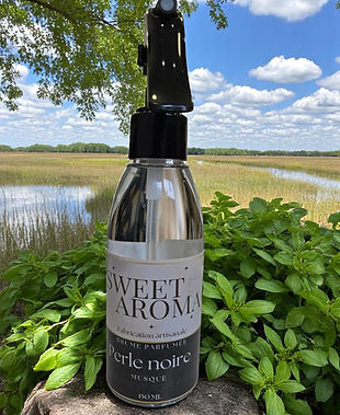 1000006975-Photoroom (1).jpg