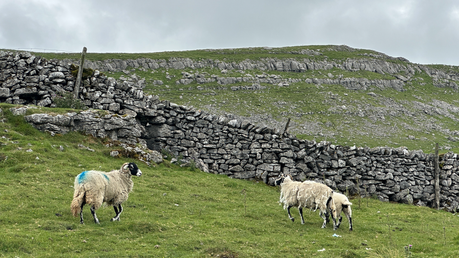 Arncliffe circular walk in the Dales through limestone country