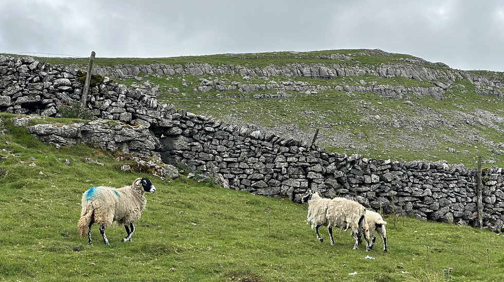 Arncliffe circular walk in the Dales through limestone country