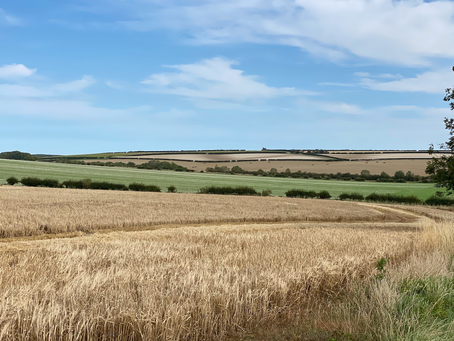 Market Weighton to Londesborough - a Circular walk in the Yorkshire Wolds