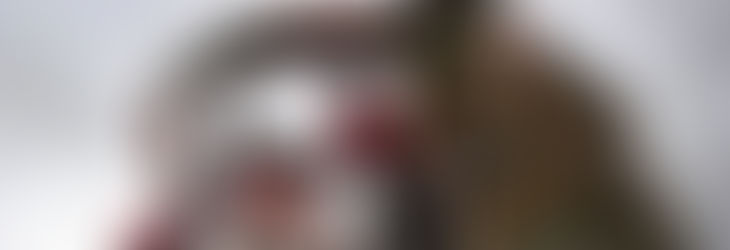 The Ripon Hornblower – one of the longest ongoing traditions in the world & still (just about) going