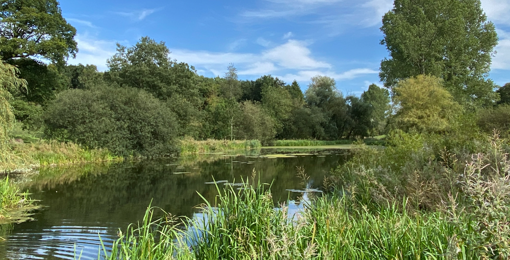 Market Weighton to Londesborough a Circular walk in the Yorkshire Wolds