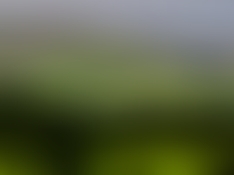 Understanding Reef Knolls in the Yorkshire Dales