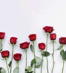 es rosa 1_edited.jpg