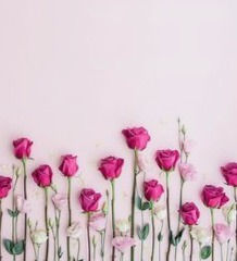 es rosa 2_edited.jpg