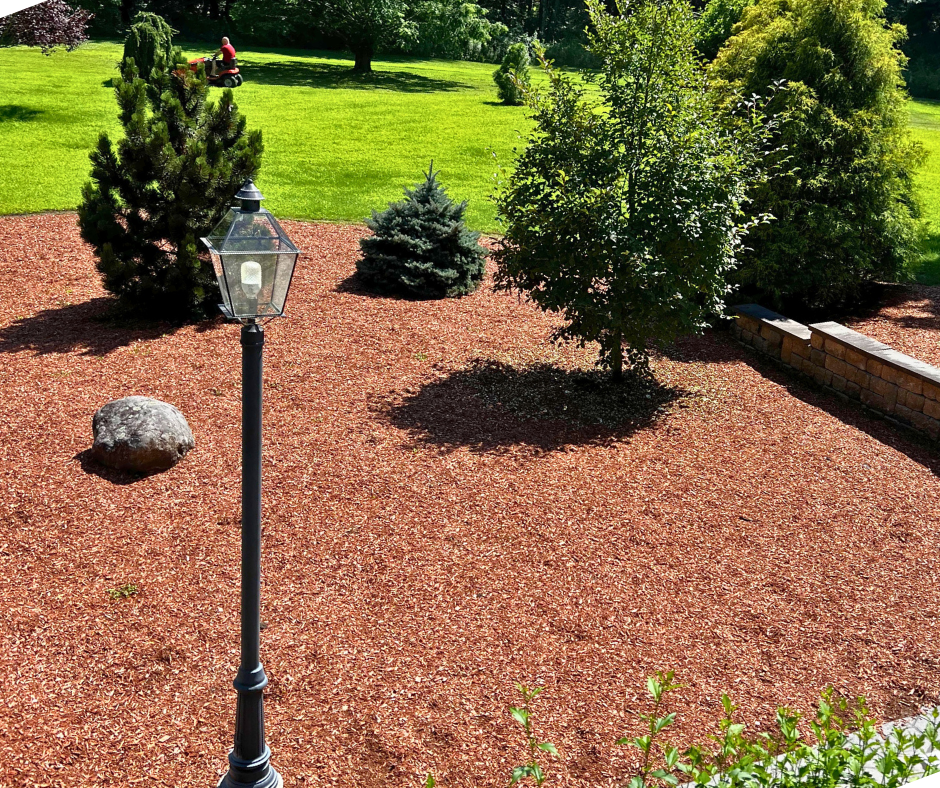 Landscape Header Adjusted (3) .png