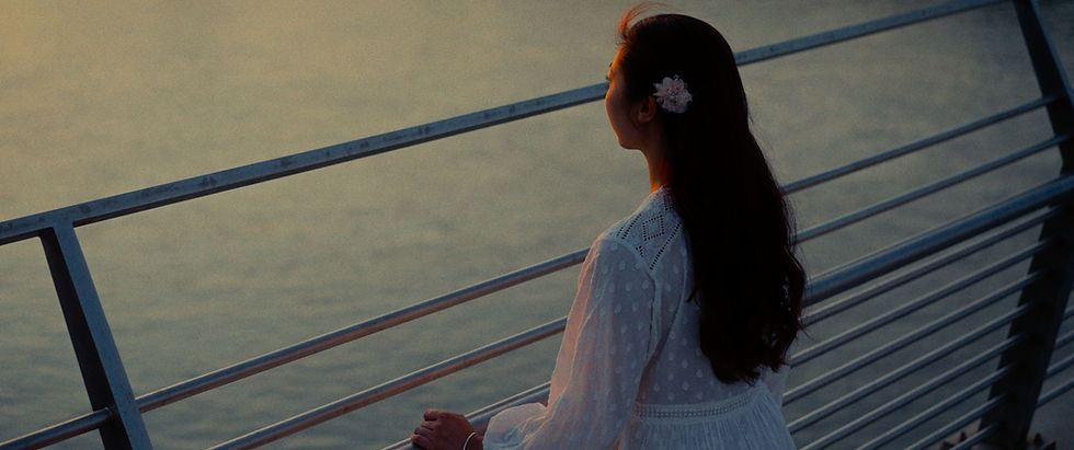 monton - DC Brandon Films