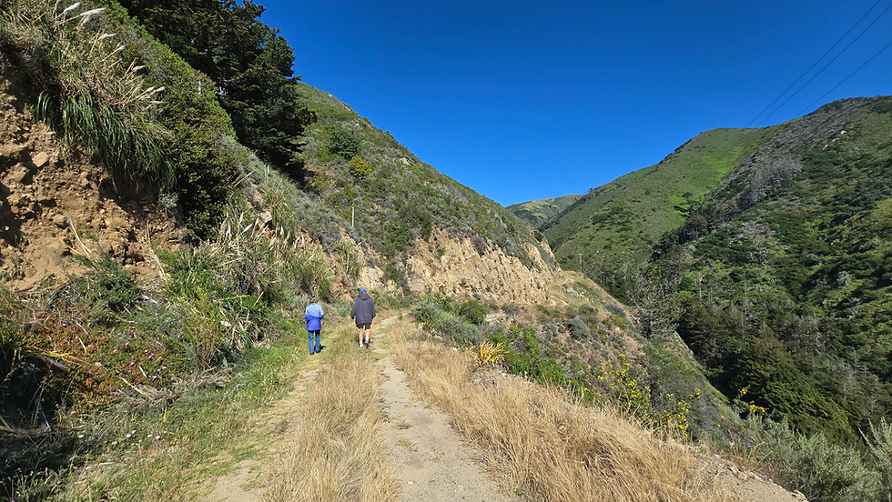 Hiking with Pam near Carmel by the Sea 