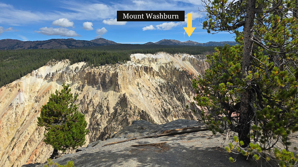 View of the Grand Canyon of Yellowstone with Mount Washburn in the background
