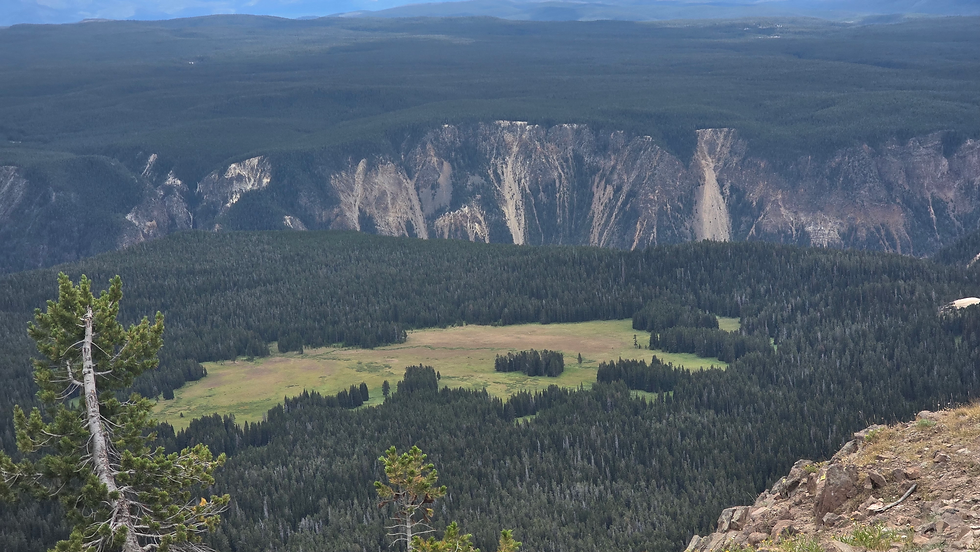 View of the Grand Canyon of Yellowstone from Mount Washburn