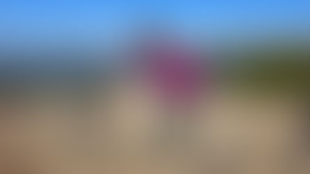 RV Tour - Leg 9 Shenandoah National Park