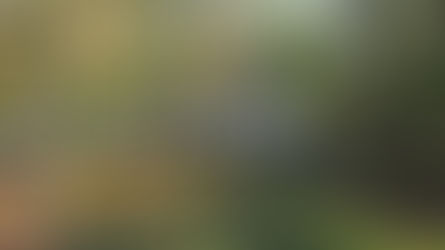 RV Tour Leg 15 - New Orleans with Nancy and Steve