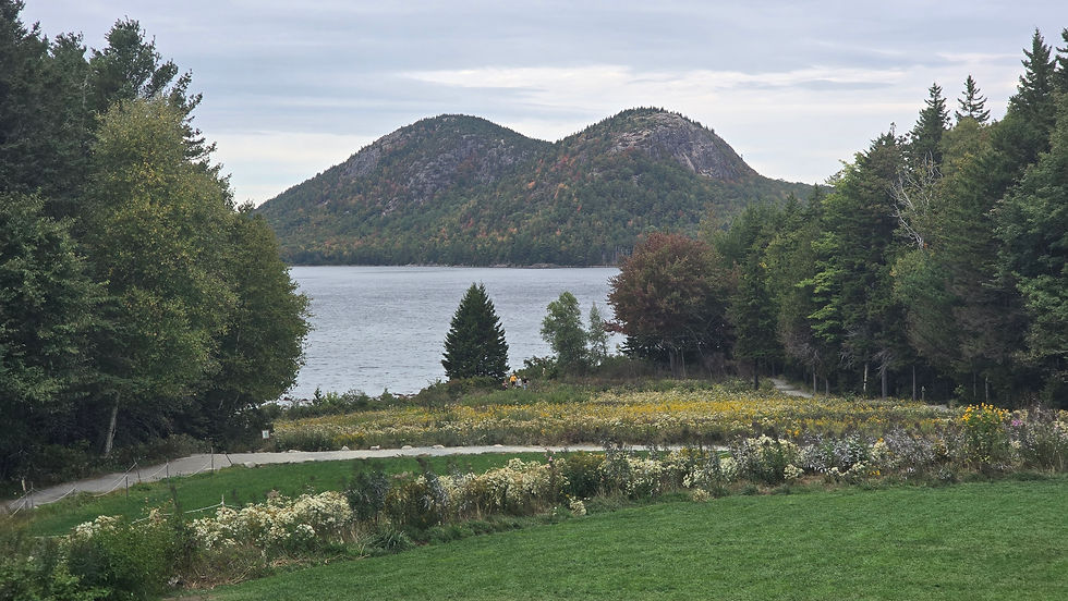 Beautiful View around Jordan Pond