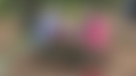 RV Tour Leg 7 - Boston Area