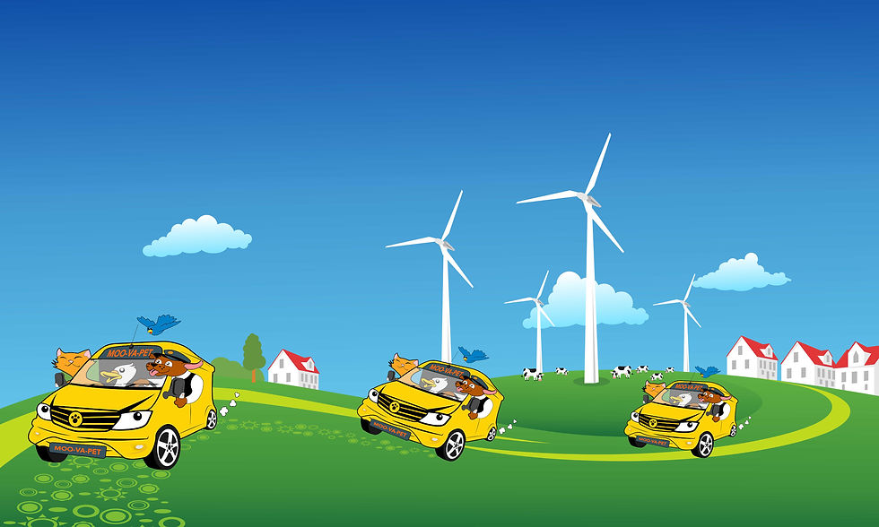 Our pet transportation service provides your pet with compassionate and safe vehicle travel throughout the San Francisco Bay Area.