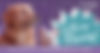moving-banner.jpg