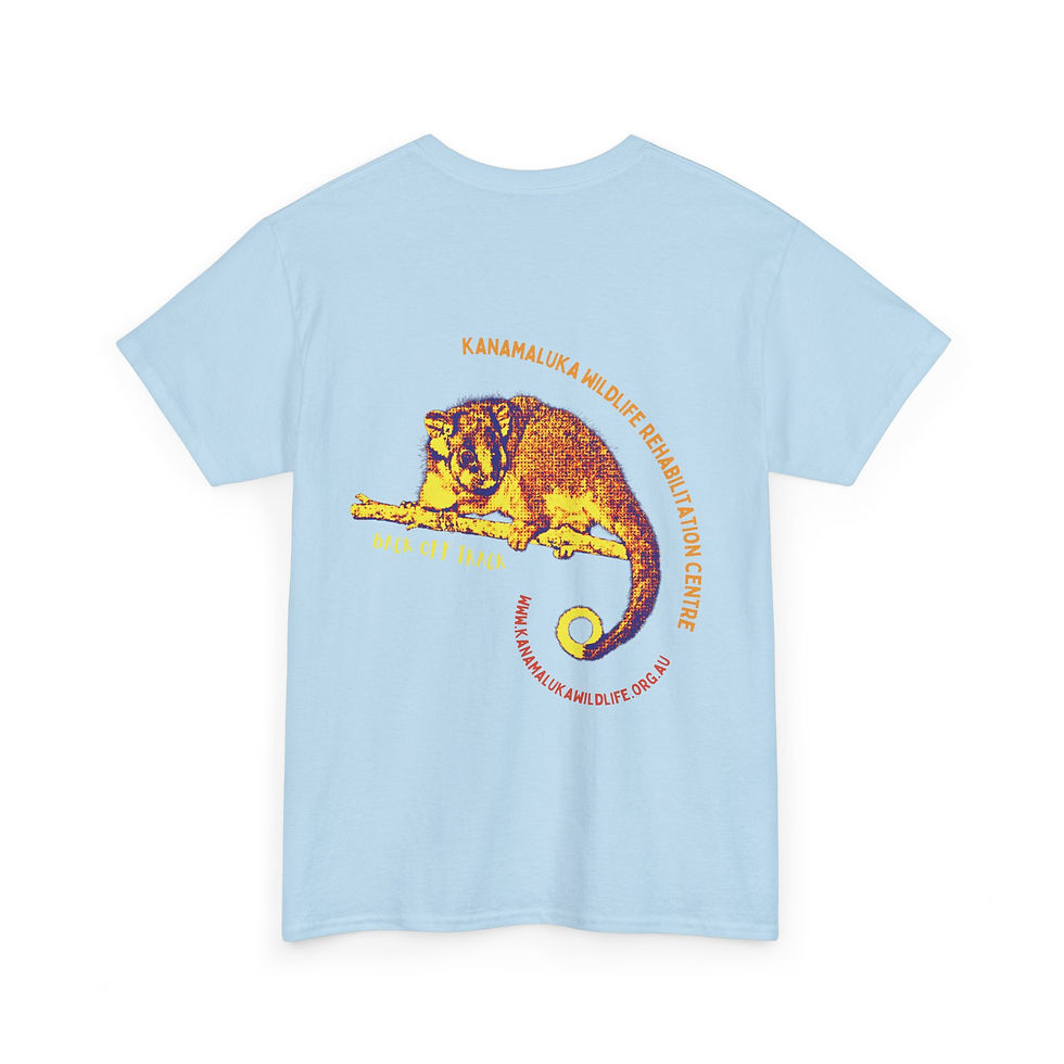 Thumbnail: Ringtail Possum Graphic Tee — Vibrant Native Wildlife T-Shirt