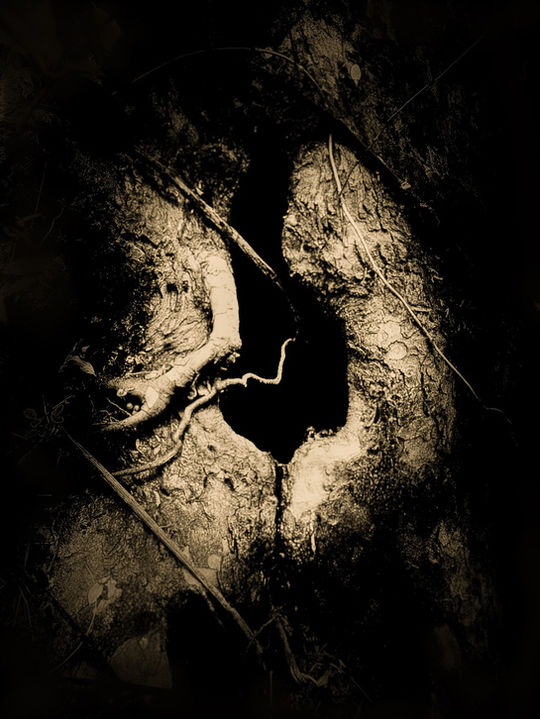 a hole supersized.jpg