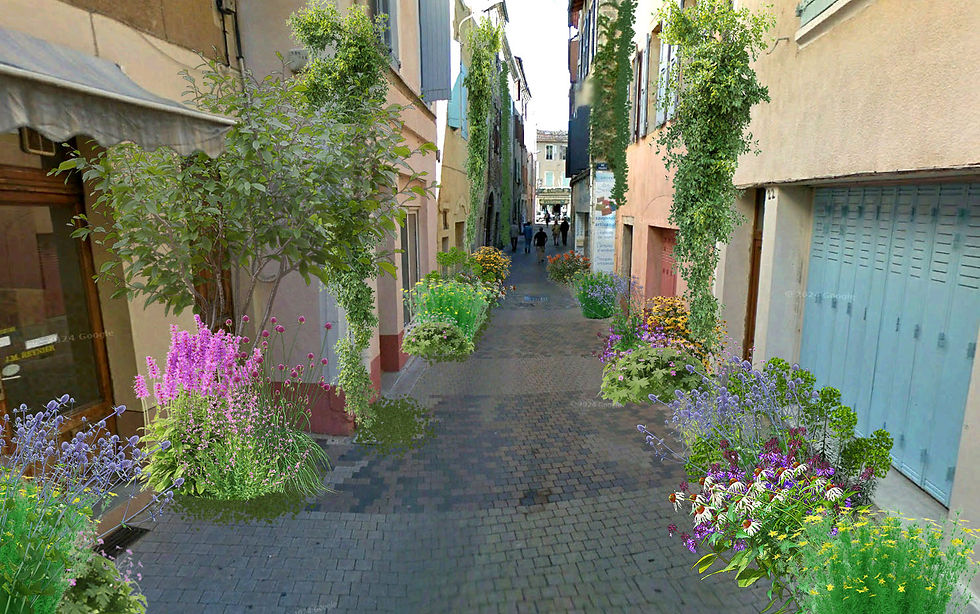 perspective rue de l'armellerie.jpg