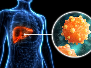 CDC. outline human body with liver highlighted. Arrow to liver with box showing zoom hepatitis B virus