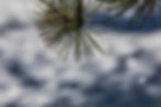 541A8040.jpg