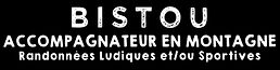 Logo simplifier de l'entreprise Bistou Montagne pour le site