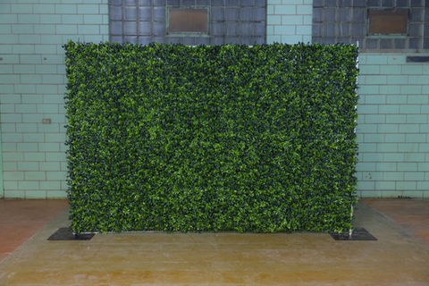Greenery Wall
