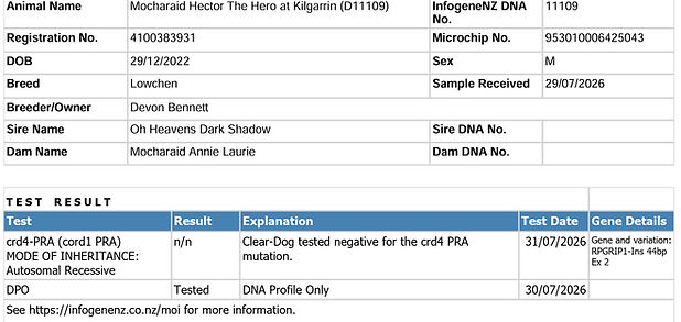 DNA Results Mocharaid Hector The Hero_edited.jpg