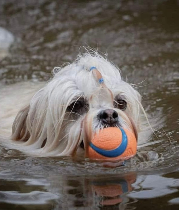 Ariel enjoying the river.