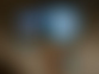 El Rey León a llegado