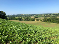 Yoga Day Retreat at Baston Hall with FloFitness