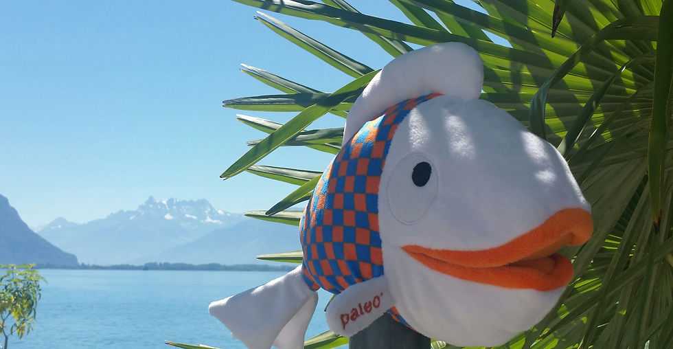 ie pour le Festival Paléo